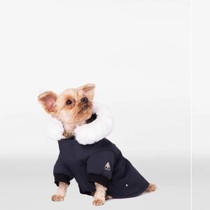 Authentic Moose Knuckles Dog Parka